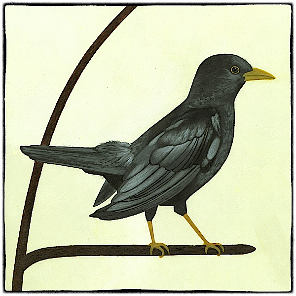Classical Blackbird logo by Celia de Villiers